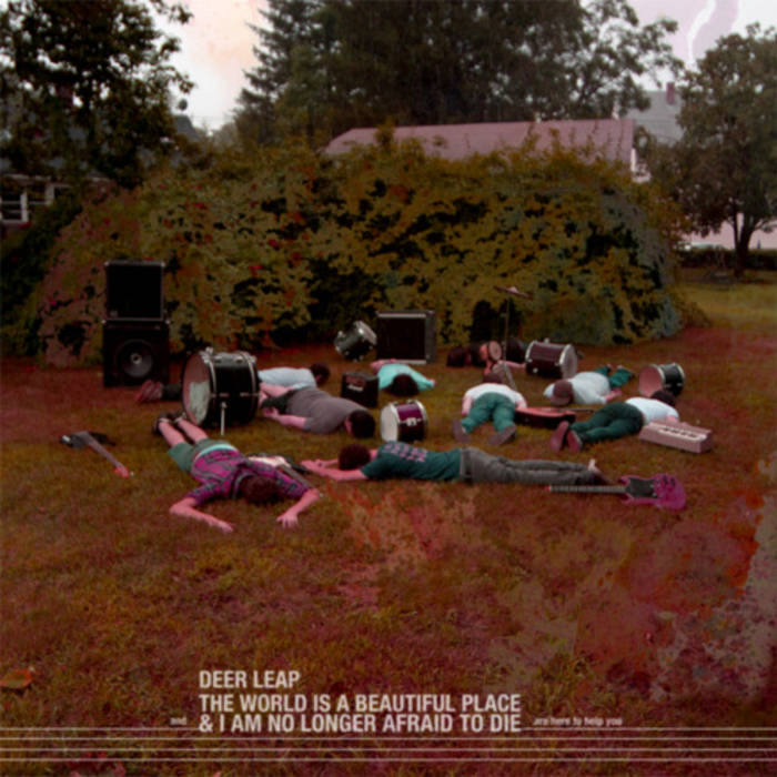 Sophie's Floorboard Deer Leap