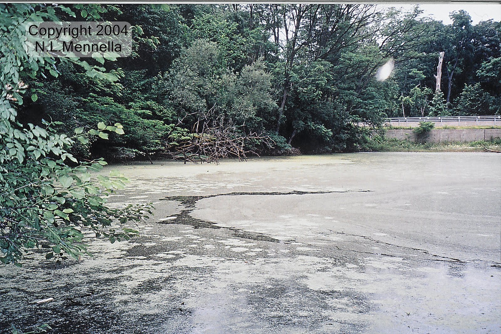 The Paranormal Corner The Haunted Bachelor's Grove Cemetery