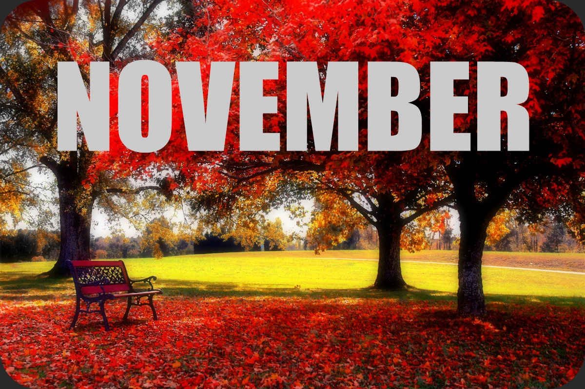 Must Read Faster November Goals and Happenings